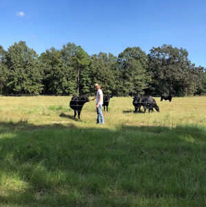 Meet your Posher, Joseph